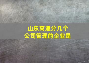 山东高速分几个公司管理的企业是