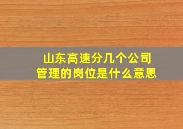 山东高速分几个公司管理的岗位是什么意思