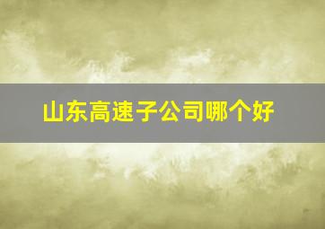 山东高速子公司哪个好