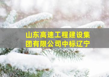 山东高速工程建设集团有限公司中标辽宁