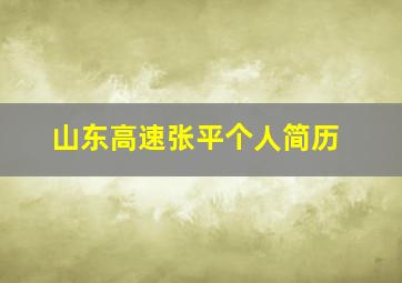 山东高速张平个人简历