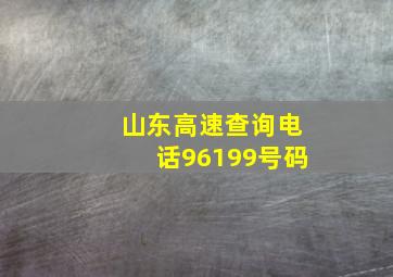 山东高速查询电话96199号码