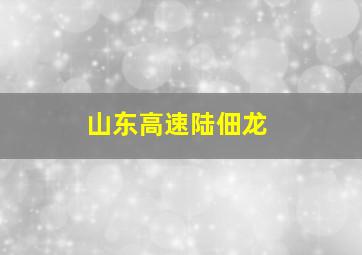 山东高速陆佃龙