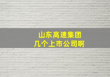 山东高速集团几个上市公司啊