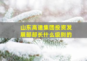 山东高速集团投资发展部部长什么级别的