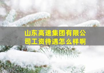 山东高速集团有限公司工资待遇怎么样啊