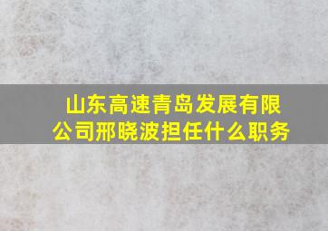 山东高速青岛发展有限公司邢晓波担任什么职务