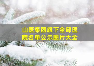 山医集团旗下全部医院名单公示图片大全