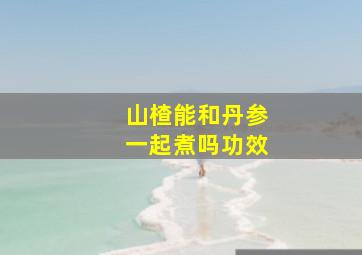 山楂能和丹参一起煮吗功效