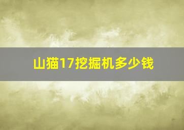 山猫17挖掘机多少钱