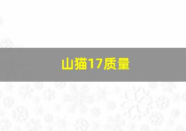 山猫17质量