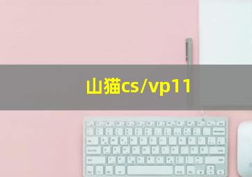 山猫cs/vp11