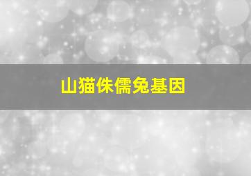 山猫侏儒兔基因