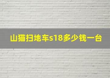 山猫扫地车s18多少钱一台