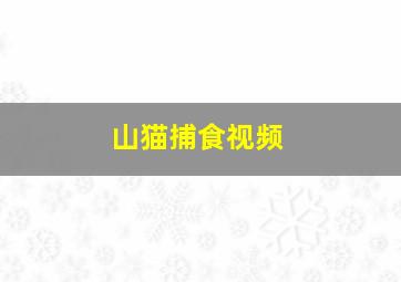 山猫捕食视频