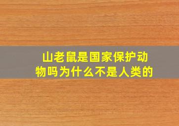 山老鼠是国家保护动物吗为什么不是人类的