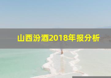 山西汾酒2018年报分析