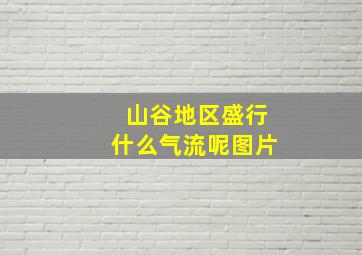 山谷地区盛行什么气流呢图片