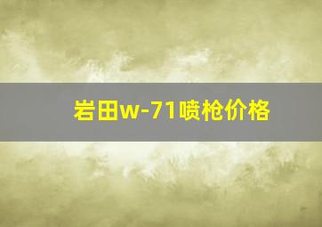 岩田w-71喷枪价格