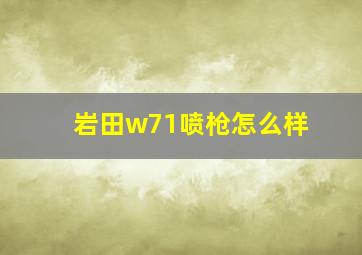 岩田w71喷枪怎么样