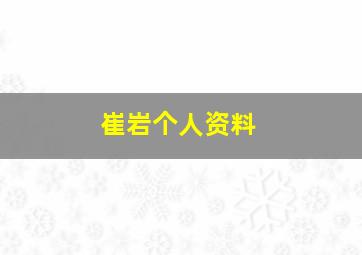 崔岩个人资料