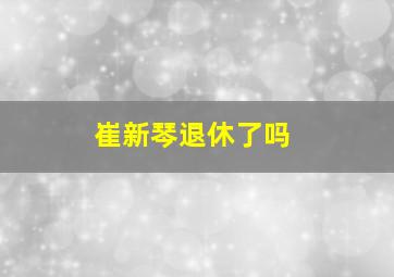 崔新琴退休了吗