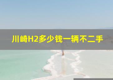 川崎H2多少钱一辆不二手