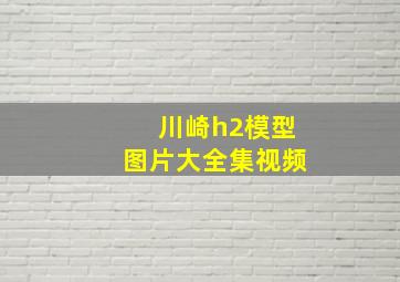 川崎h2模型图片大全集视频