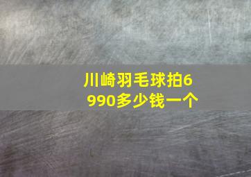 川崎羽毛球拍6990多少钱一个