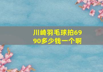 川崎羽毛球拍6990多少钱一个啊