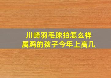 川崎羽毛球拍怎么样属鸡的孩子今年上高几