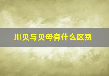 川贝与贝母有什么区别