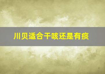 川贝适合干咳还是有痰