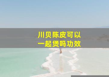 川贝陈皮可以一起煲吗功效