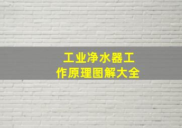 工业净水器工作原理图解大全