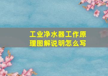 工业净水器工作原理图解说明怎么写