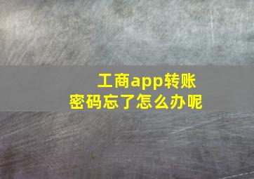 工商app转账密码忘了怎么办呢