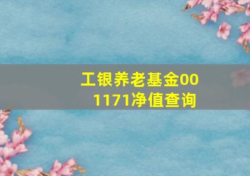 工银养老基金001171净值查询