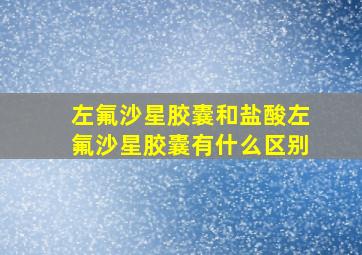 左氟沙星胶囊和盐酸左氟沙星胶囊有什么区别