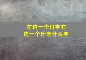 左边一个日字右边一个斤念什么字