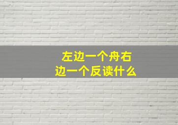 左边一个舟右边一个反读什么