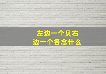 左边一个贝右边一个各念什么