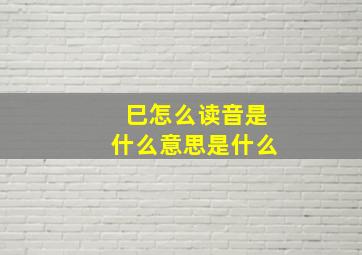 巳怎么读音是什么意思是什么