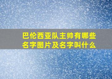 巴伦西亚队主帅有哪些名字图片及名字叫什么