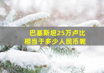 巴基斯坦25万卢比相当于多少人民币呢