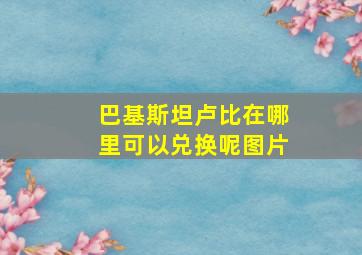 巴基斯坦卢比在哪里可以兑换呢图片