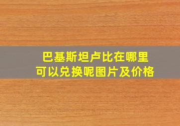 巴基斯坦卢比在哪里可以兑换呢图片及价格