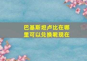 巴基斯坦卢比在哪里可以兑换呢现在