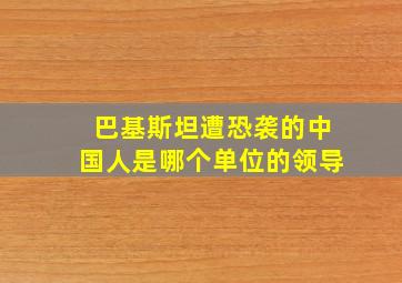 巴基斯坦遭恐袭的中国人是哪个单位的领导