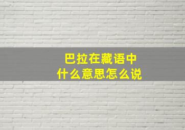 巴拉在藏语中什么意思怎么说